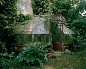 greenhouse